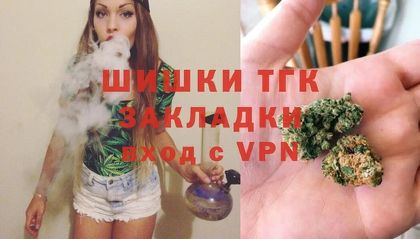 молекула духа Заволжье
