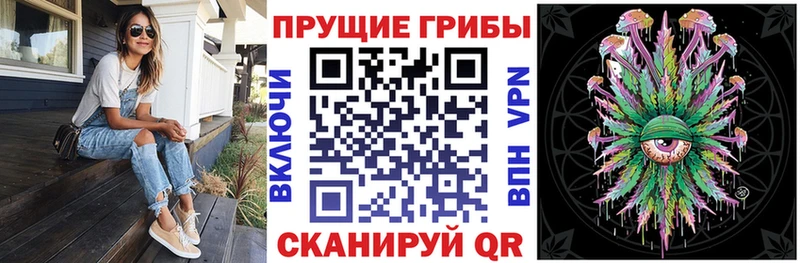 Купить  Зерноград  Галлюциногенные грибы Psilocybe 